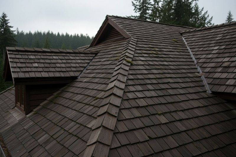 Cedar Shake Roof Replacement And Long-Term Durability Benefits
